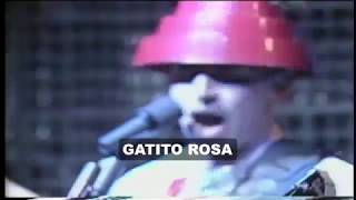 Devo - Pink Pussycat (Subtitulos en Español)