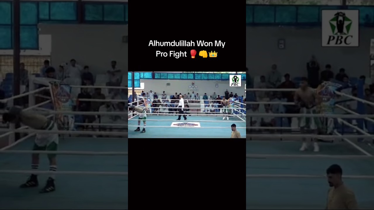 My Pro Fight ☠️🥊