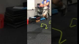 1-2-2-1 Reactive Hurdle Jump