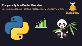 Complete Python Pandas Overview | Power Up & Plot Your Data Insights!