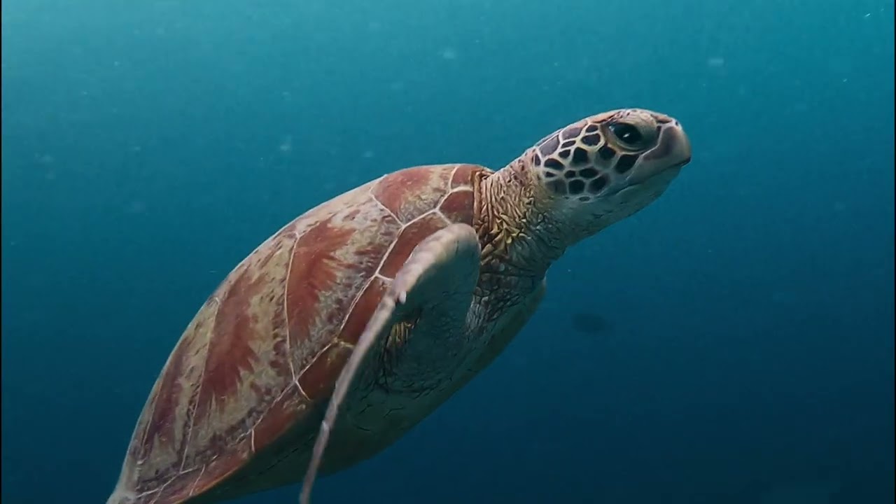 In equilibrio nel Blu