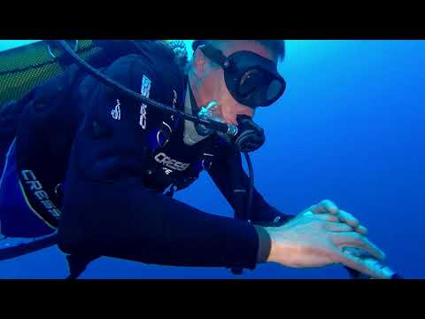 Casa del Sindaco Immersione al Promontorio di Portofino con Diving EVOLUTION