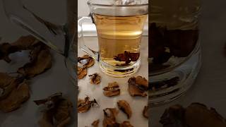 Qoz Pərdələri̇ni̇ Əsla Atmaceviz Iç Zarı Çayı