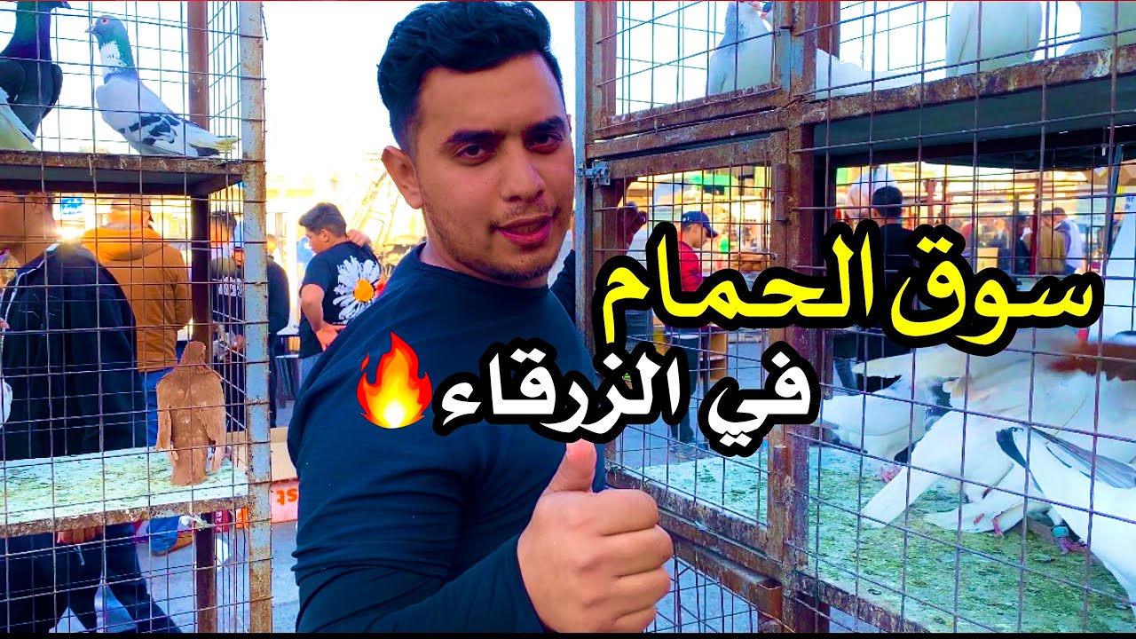 جوله في سوق الحمام في الزرقا وأسعار الحمام 🔥