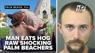 Florida man cut open, ate dead hog at Worth Avenue Clock Tower, Palm Beach Police say