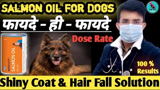 Salmon Oil For Dogs || Benefits For Dogs || Omega - 3 ,6, Fatty Acid for dogs || Amazing 💥 Results