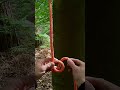 YOU ABSOLUTE MUNTER! #treework #arblife #knottutorial