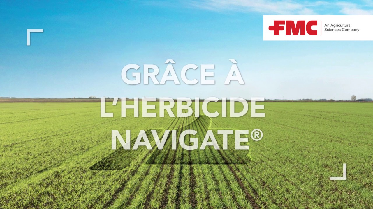 non herbicide weed killer Finalsan Organic Non-Selective Weed Killer