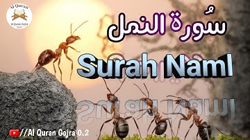 Surah An-Naml (Complete) | سورة النمل | Al Quran Gojra 