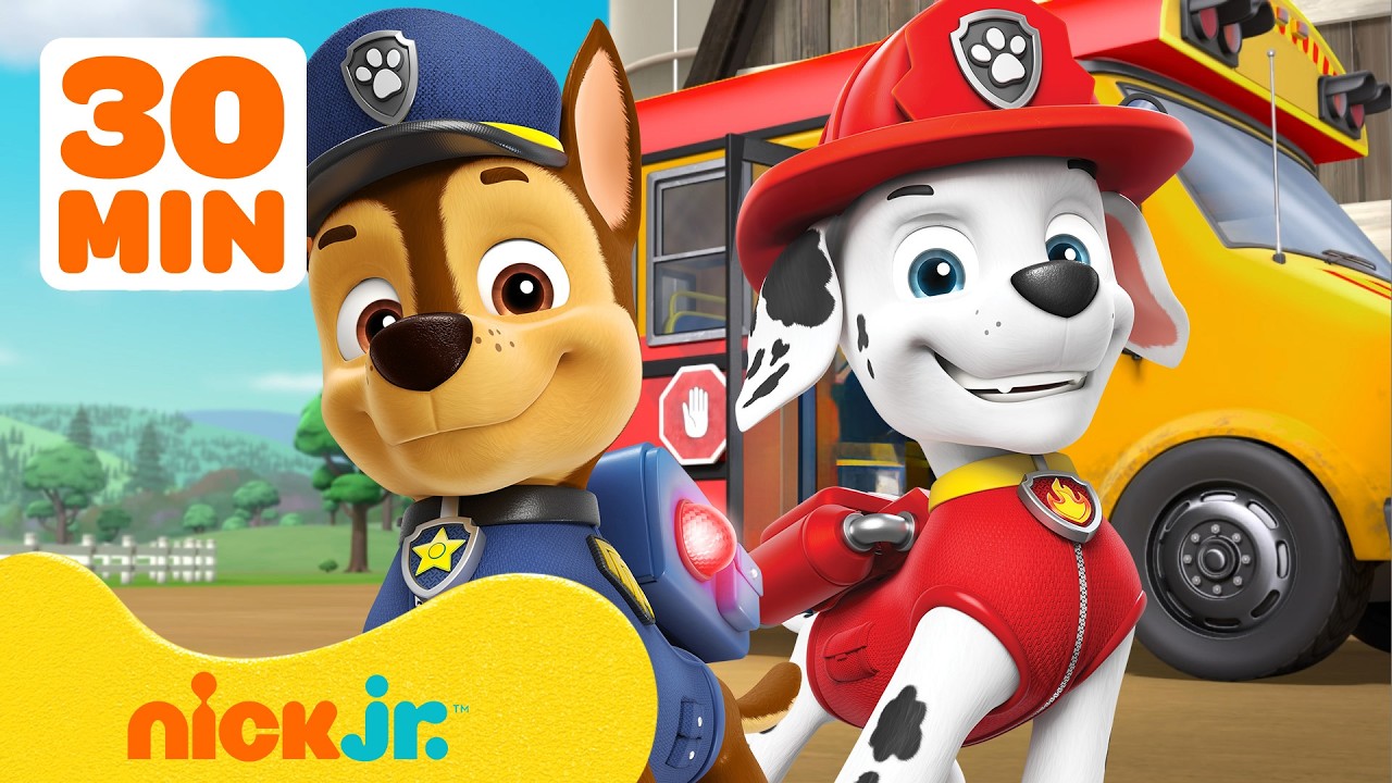 Paw Patrol | Los mejores rescates para volver a clases! 🚌🎒 | 30 min | Nick Jr. en Español