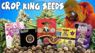 CROP KING SEEDS - MESSY BREAKUP - Its not me its you! DRAMA ALERT