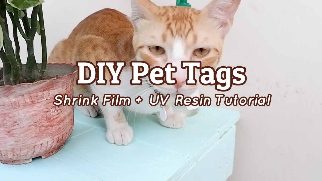 DIY PET TAG using SHRINK FILM and UV RESIN | Craft with me! | Fil ...