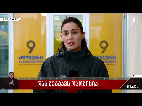 რას გეგმავს ოპოზიცია