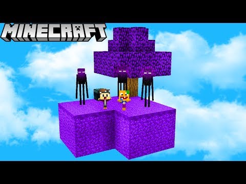 ÜBERLEBEN WIR AUF DER ENDERMAN INSEL IN MINECRAFT?