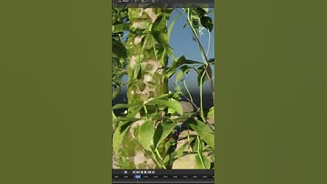 How to create a photoreal Forest in 20 sec #blender