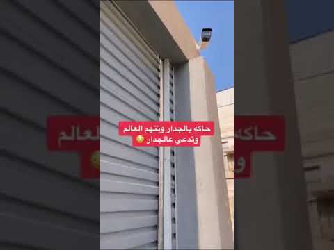 تم القبض على السلوقي اللوقي