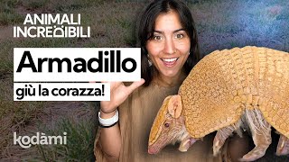 Come fa l'armadillo ad appallottolarsi? I segreti di questo piccolo corazzato by Kodami 44,390 views 3 months ago 13 minutes, 27 seconds