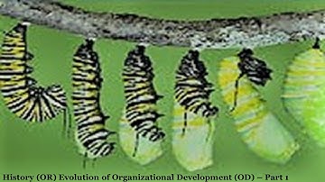 HISTORY OR EVOLUTION OF ORGANIZATIONAL DEVELOPMENT (OD)-PART 1