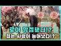 최근 로아에 흥미를 잃은 사람이 많은 시기적인 이유