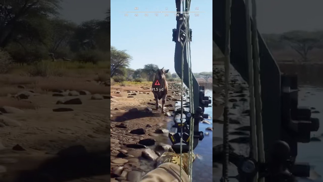 Эти новые обыкновенные антилопы канна огромные и агрессивные!! 