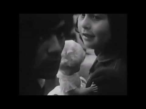 The Cat With The Hat Daniele Sepe Effequadro Blog