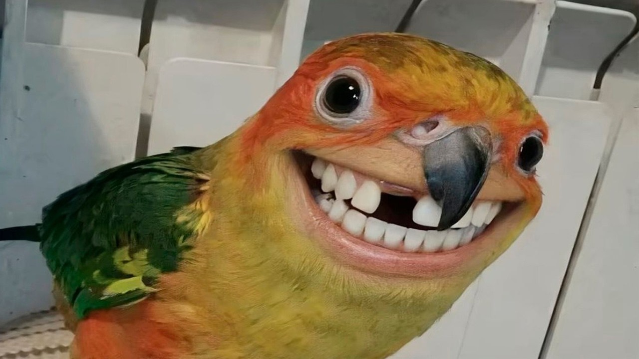 ПОПРОБУЙТЕ НЕ СМЕЯТЬСЯ 😂 Подборка смешных провалов🤭| ЛУЧШИЕ ПРИКОЛЫ 2026 года #16