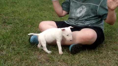 Girl 1 Video 9 June 2010.MPG