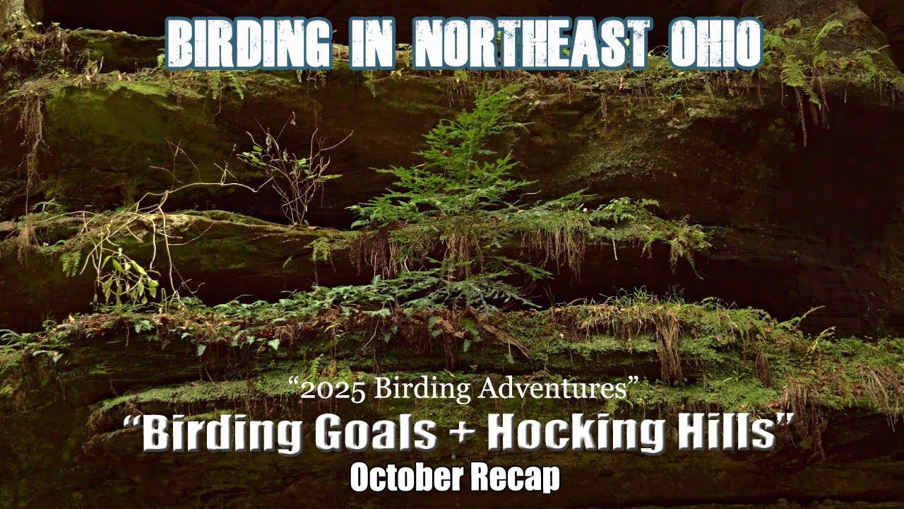 October Birding and the Beauty of Hocking HIlls