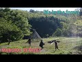 イラクサのパイ　稲の種蒔き　草刈り　山暮らし 　田舎暮らし　forest life　selfsufficient lifestyle　homestead　wild edible plants　自然農