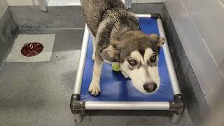 acs A676581