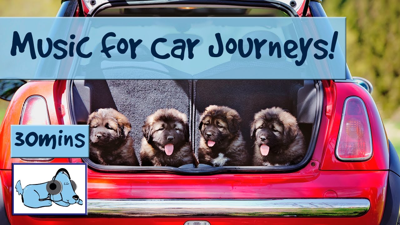 Music For Dogs Afraid of Car Journeys! Music to Relax Dogs In The Car!