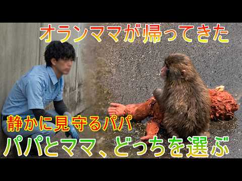 Punchkun+go-chan - YouTube