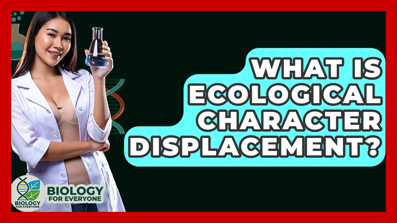 What Is Ecological Character Displacement? - Biology For Everyone