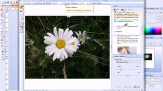 Serif PagePlus X5 Tutorial - Cutting Out Photos