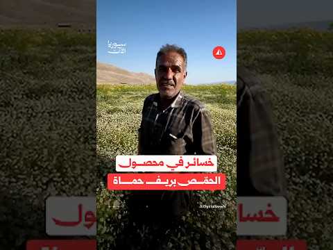 مزارع يصف حجم الخسائر التي طالت محصول الحمّص بريف حماة