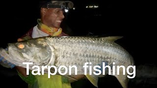 Tarpon fiching big  ,pesca de orillas