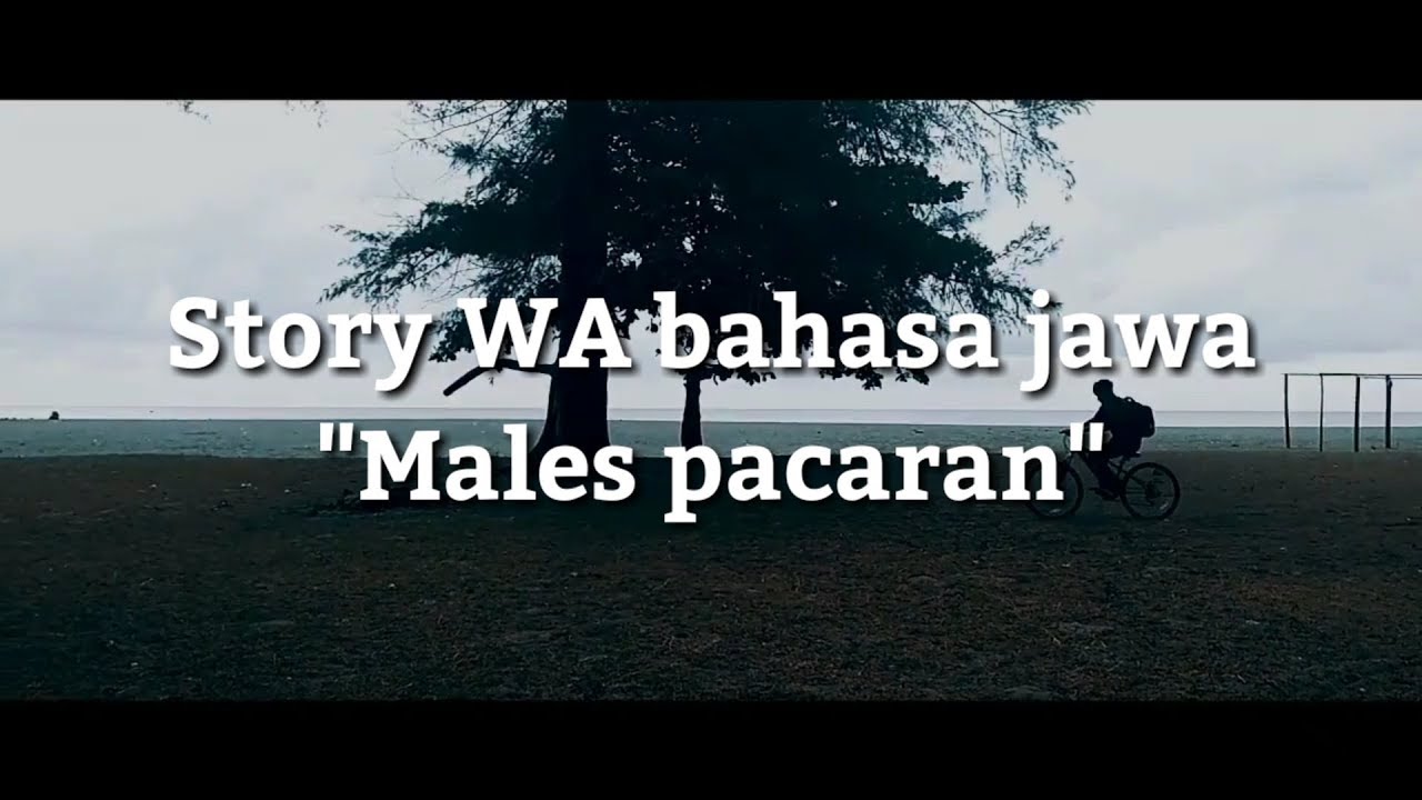 Story Wa Bahasa Jawa