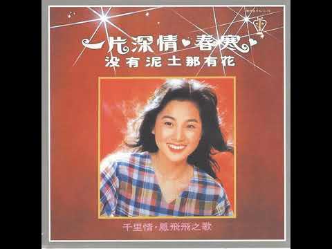 鳳飛飛 - 愛之門【動態歌詞 Lyrics】