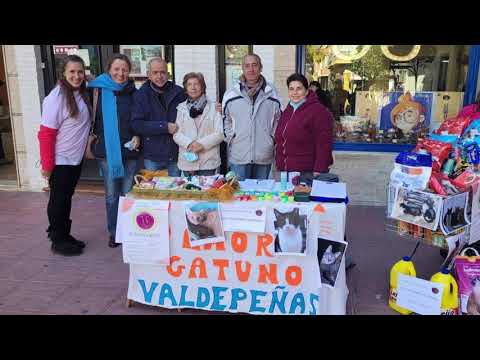 Mesa Informativa y Donaciones Amor Gatuno Noticia Informativos 16/11/2021