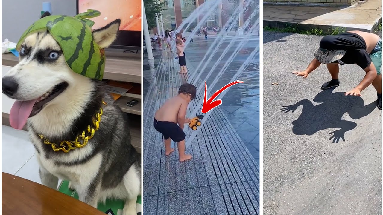 Funny Video || Dog Cap Watermelon | Frog | Water Park Funny Video Part 01