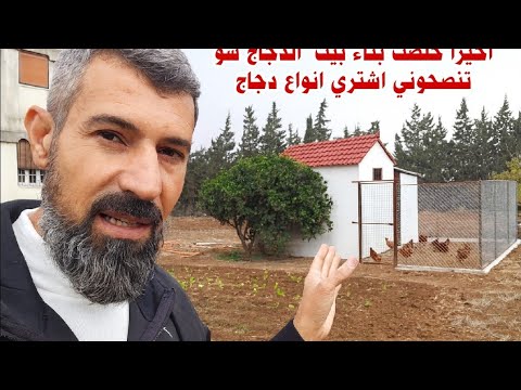 اخيرا انتهيت من بناء بيت الدجاج شو تنصحوني اشتري انوع دجاج