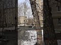 Тарзан на Холмогорской улице г.Пермь