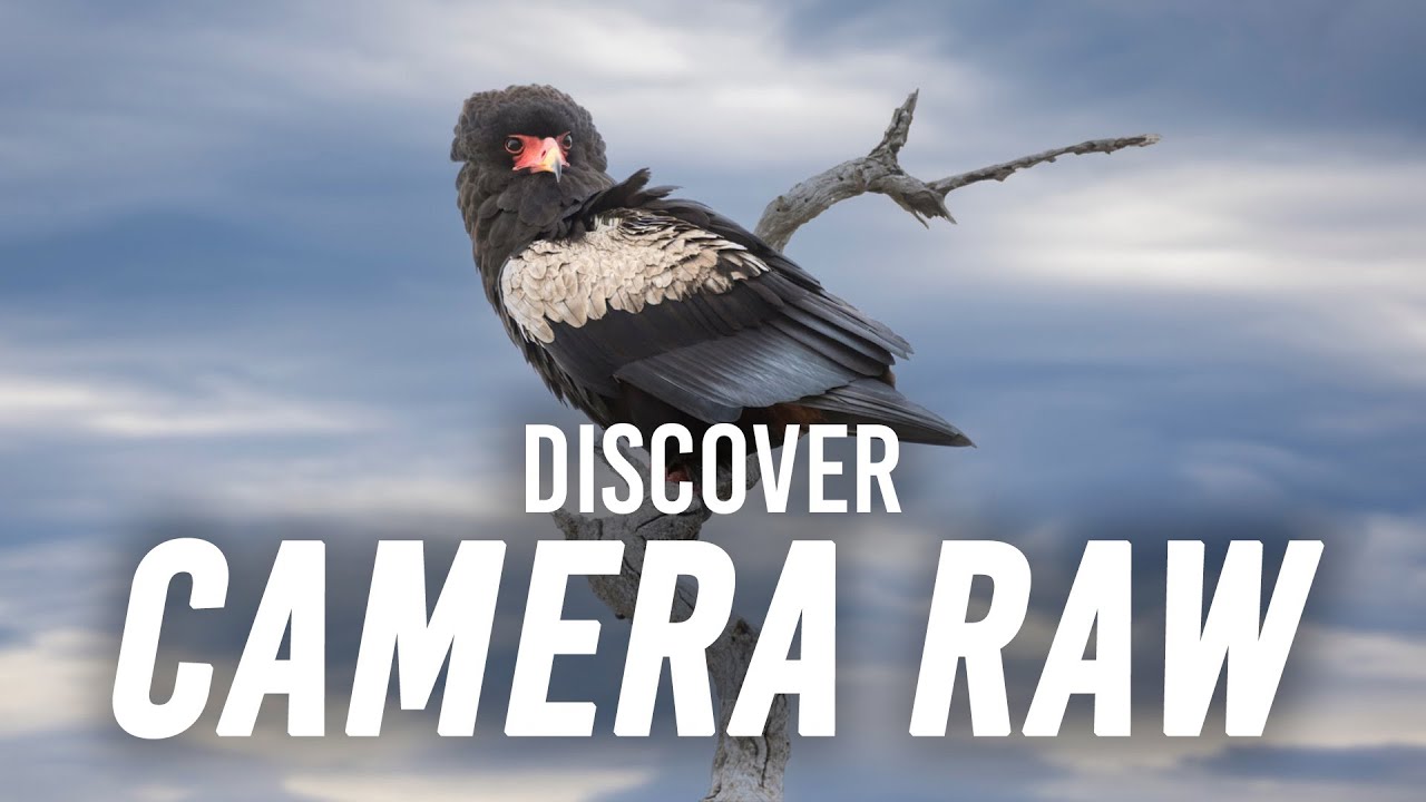 Camera Raw and Photoshop with Adam Jones