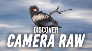 Camera Raw and Photoshop with Adam Jones