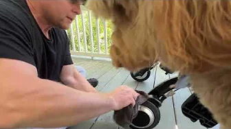 How To Easily Clean Dirty Walker Wheelator Wheels