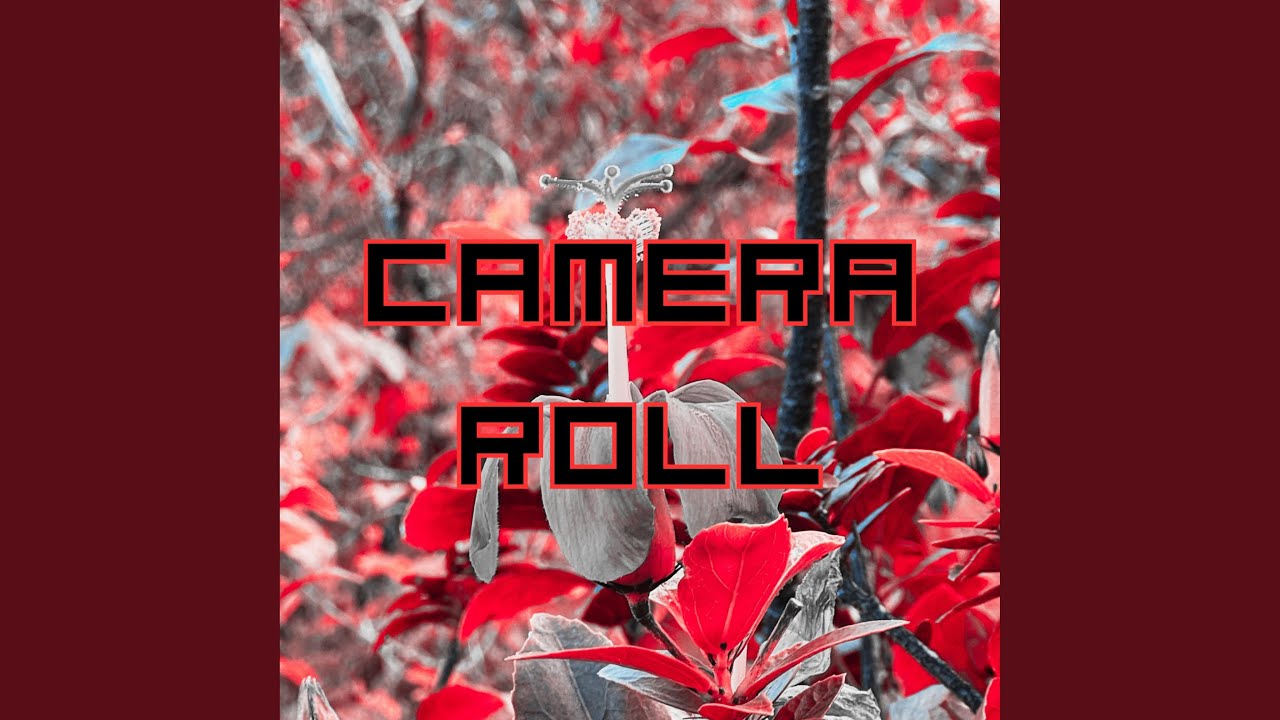 CAMERA ROLL