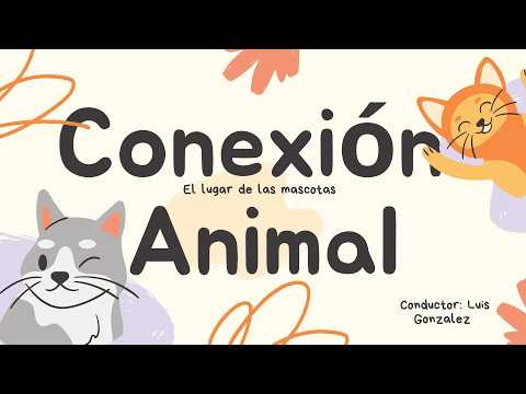 Miniatura del programa Morus Stream: CONEXIÓN ANIMAL – 21/10/26