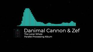 Danimal Cannon & Zef The Lunar Whale - Parallel Processing Album