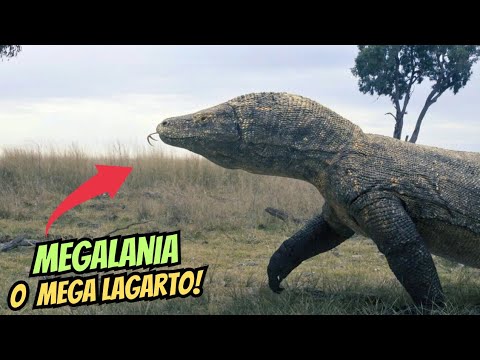 PaleoLife: MEGALANIA | Everything About This Prehistoric MEGA LIZARD!! (Was It Venomous?)