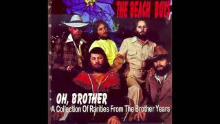 The Beach Boys - The Night Was So Young (Alternate)